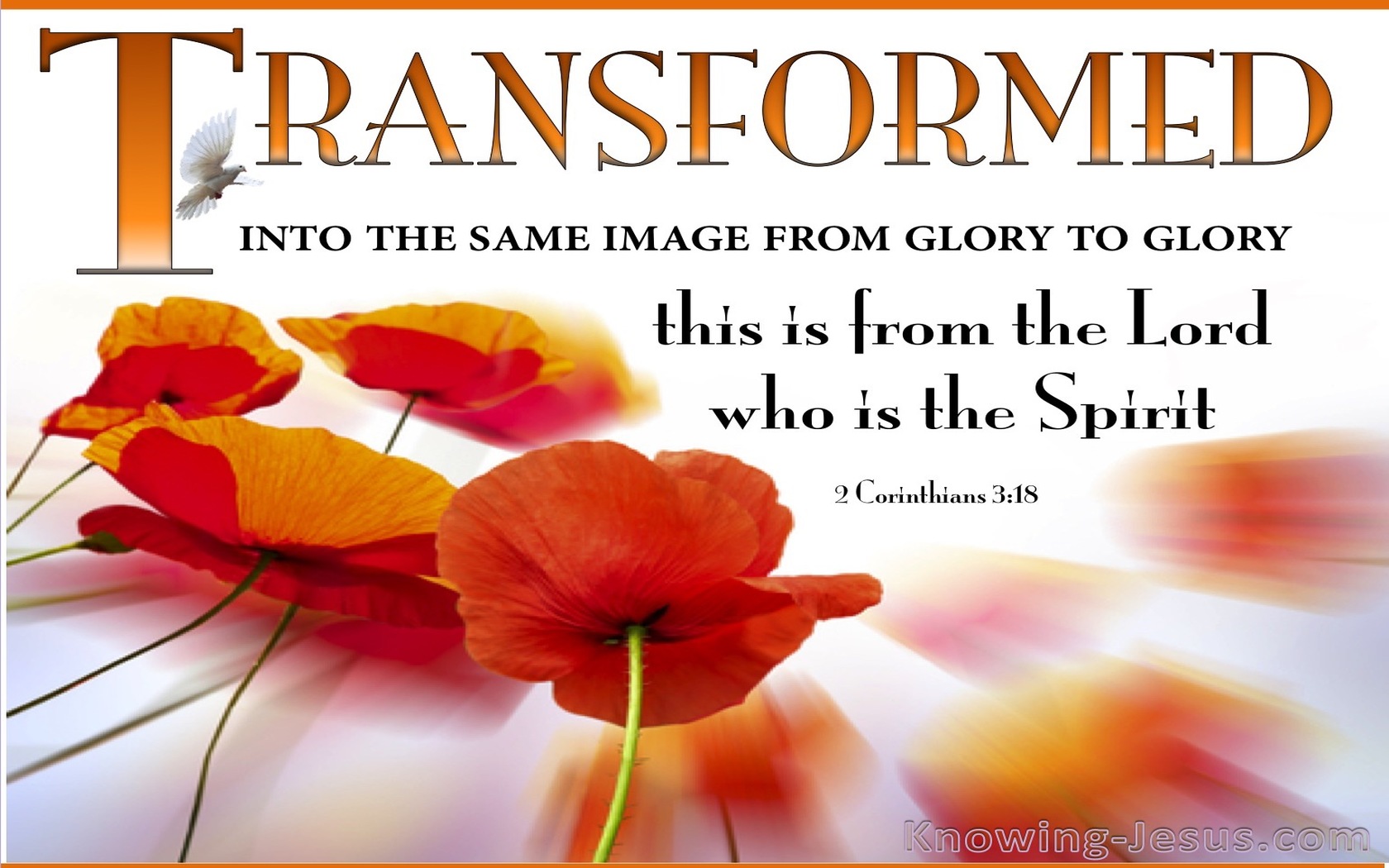 2 Corinthians 3:18 Transformed From Glory To Glory (orange)